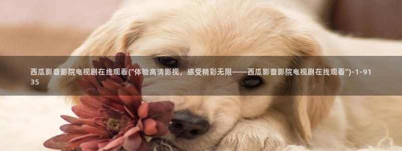 西瓜电影电视剧在线观看