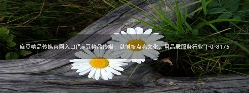 麻豆视频站内文案