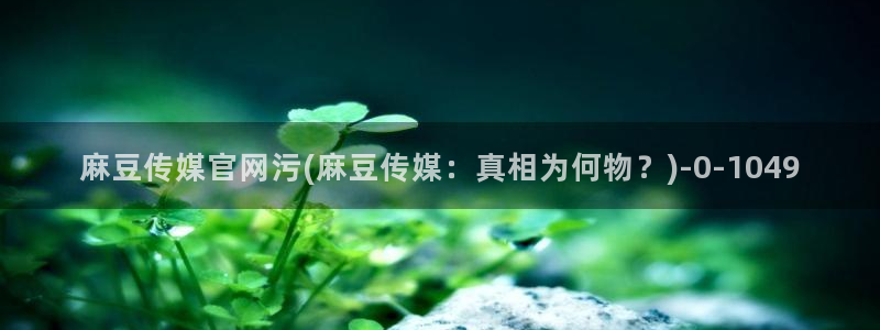麻豆自定义库
