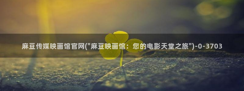 麻豆视频采集