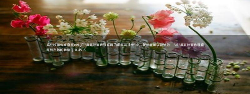 麻豆视频自然描述