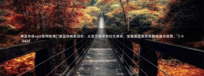 麻豆视频文章标题