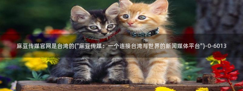 麻豆视频文章标题