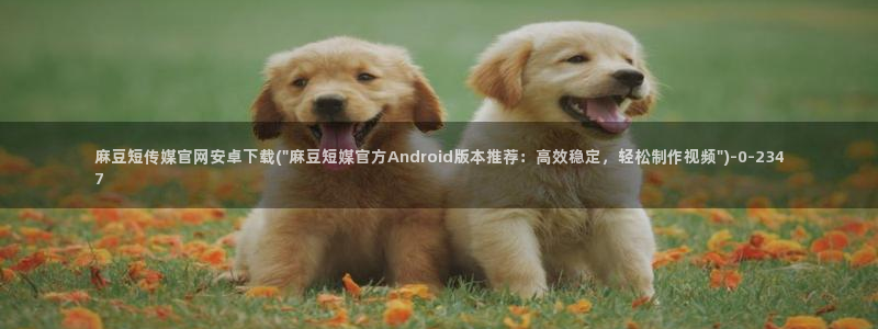 麻豆视频资料维护