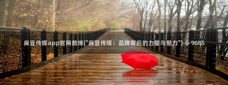 麻豆国产精选