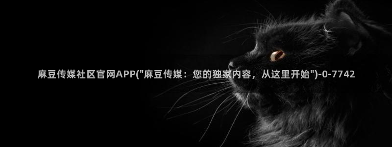 麻豆视频演员文案