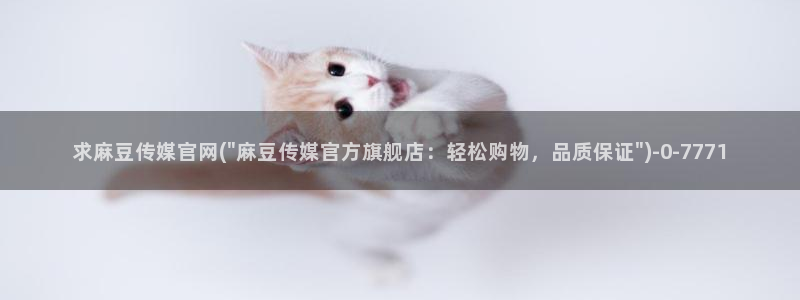 麻豆视频网