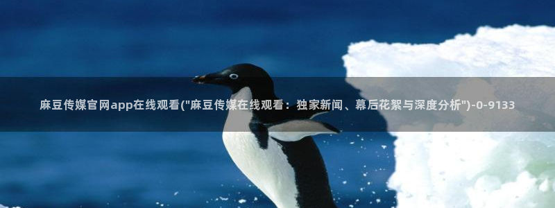 麻豆视频SEO词库