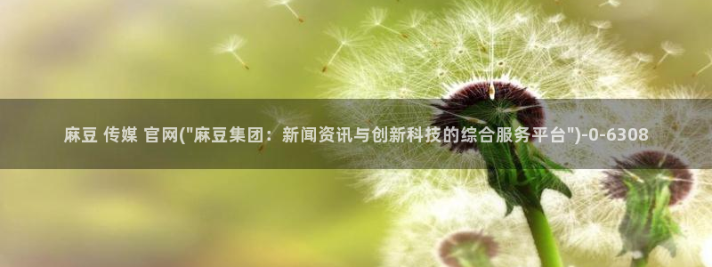 麻豆传媒新片