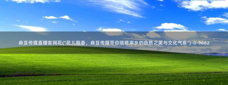 麻豆传媒精选