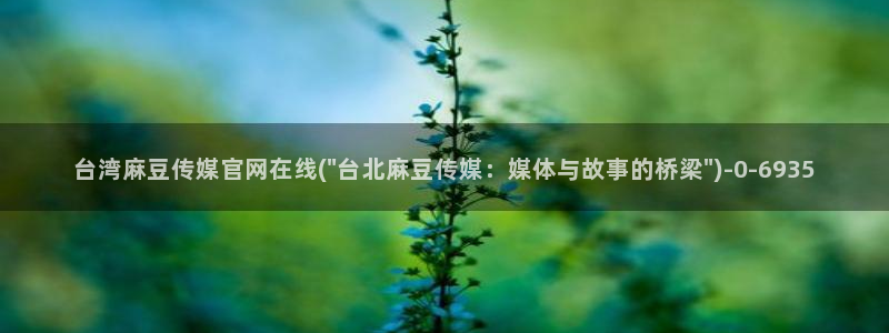 麻豆视频内链