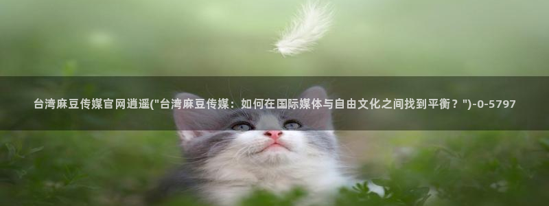 麻豆女演员