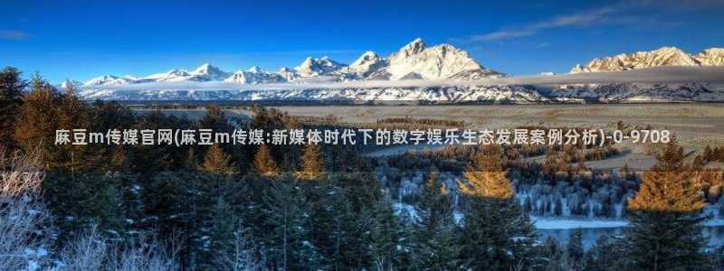 麻豆影视