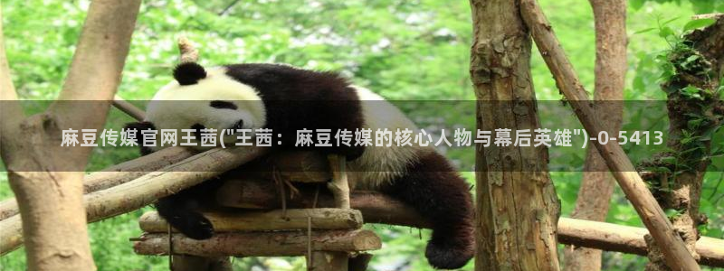 麻豆热门专题