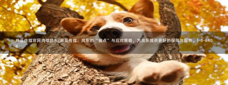 麻豆演员标题