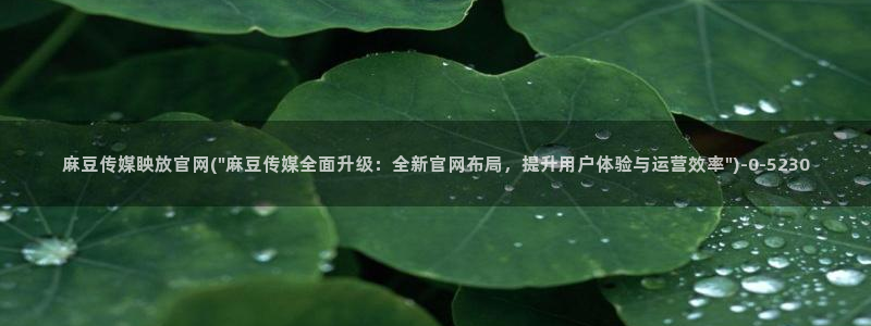 麻豆视频列表文案