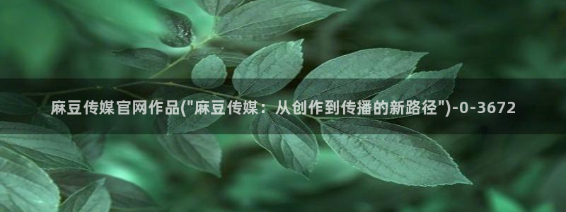 麻豆视频精准词：麻豆传媒官网作品(\