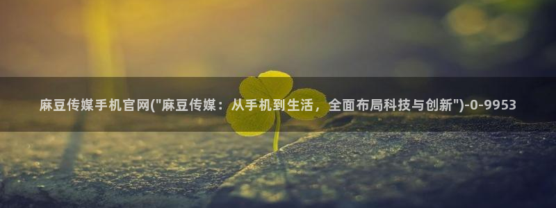 麻豆榜单标题
