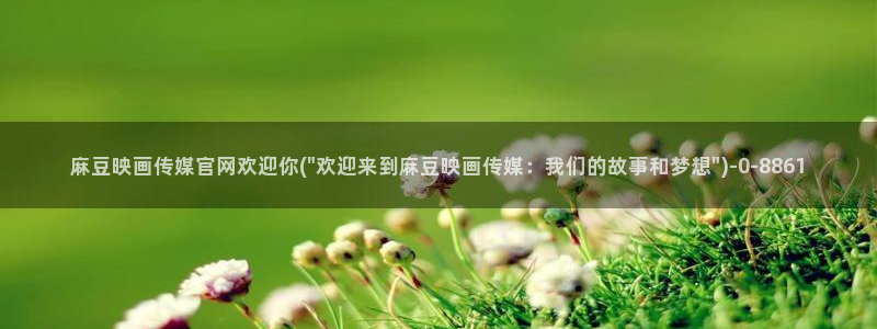 麻豆资源导航