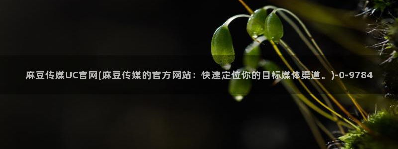 麻豆视频详情文案