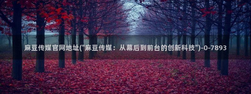 麻豆传媒合集