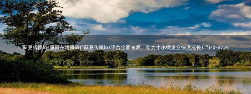 麻豆专题标题