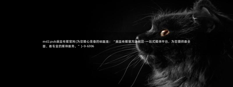 麻豆视频点评