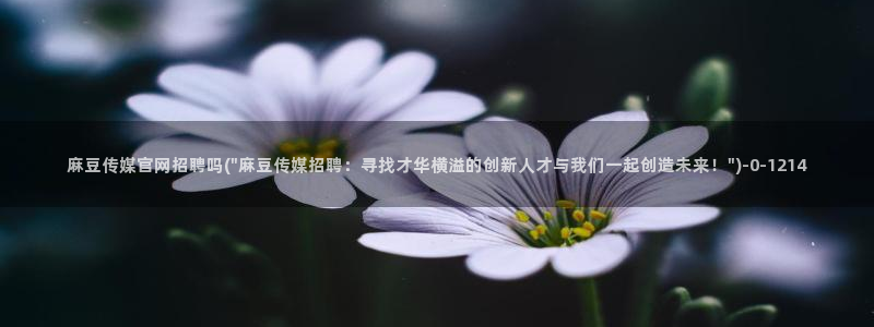 麻豆视频版权说明