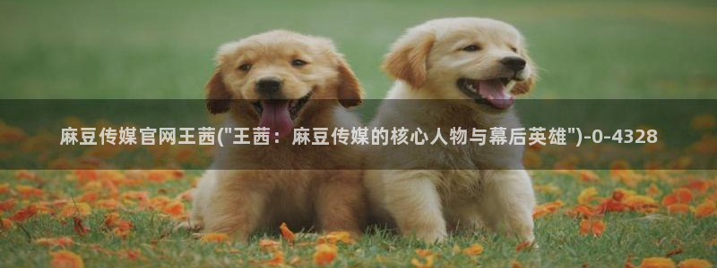 麻豆视频更新维护