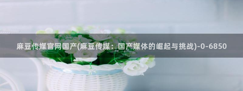 麻豆视频大全