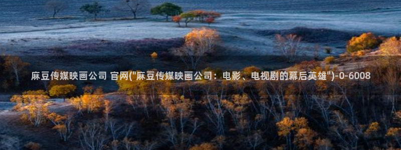 麻豆新片描述