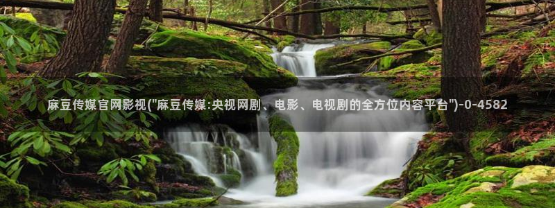 麻豆视频页面标题