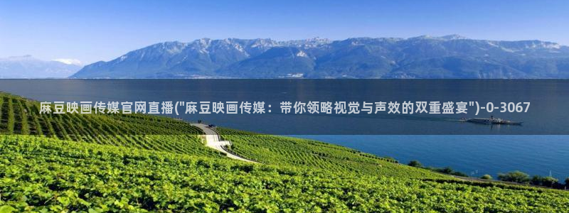 麻豆传媒在线观看