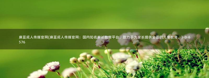 麻豆传媒新片