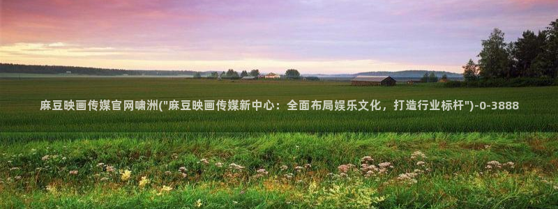 麻豆视频用户体验
