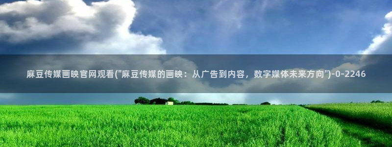麻豆视频自动更新