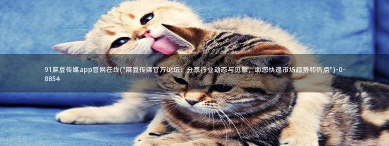 麻豆视频联系页面