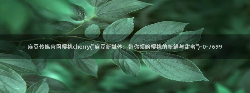 麻豆精品视频：麻豆传媒官网樱桃cherry(\
